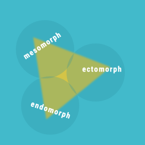 Most of us lie somewhere inside an imaginary tri­angle with a blend of each of the somatotype characteristics from the mesomorph, ectomorph and endomorph body types
