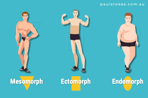 Body Type Chart depicting ectomorph, mesomorph and endomorph somatotypes