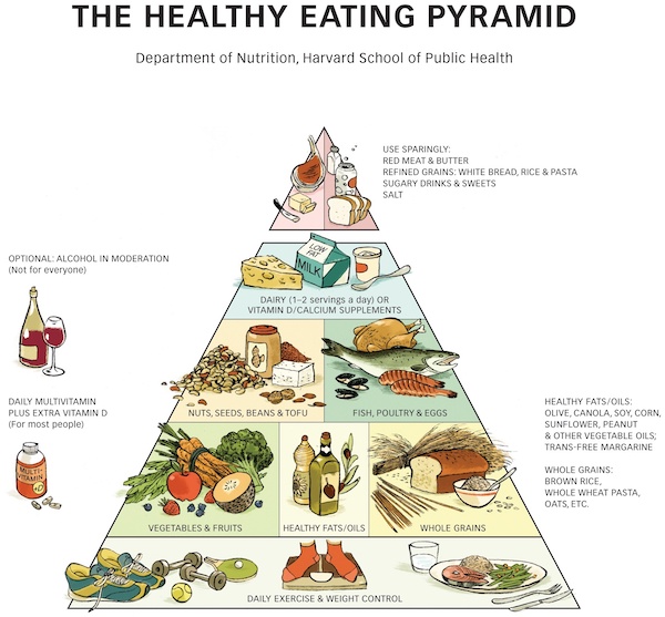 The USAs version of the Healthy Eating Pyramid