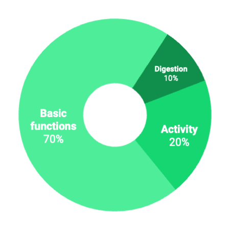 Doughnut chart showing how calories are used in the body, split between TEF, Activity and BMR