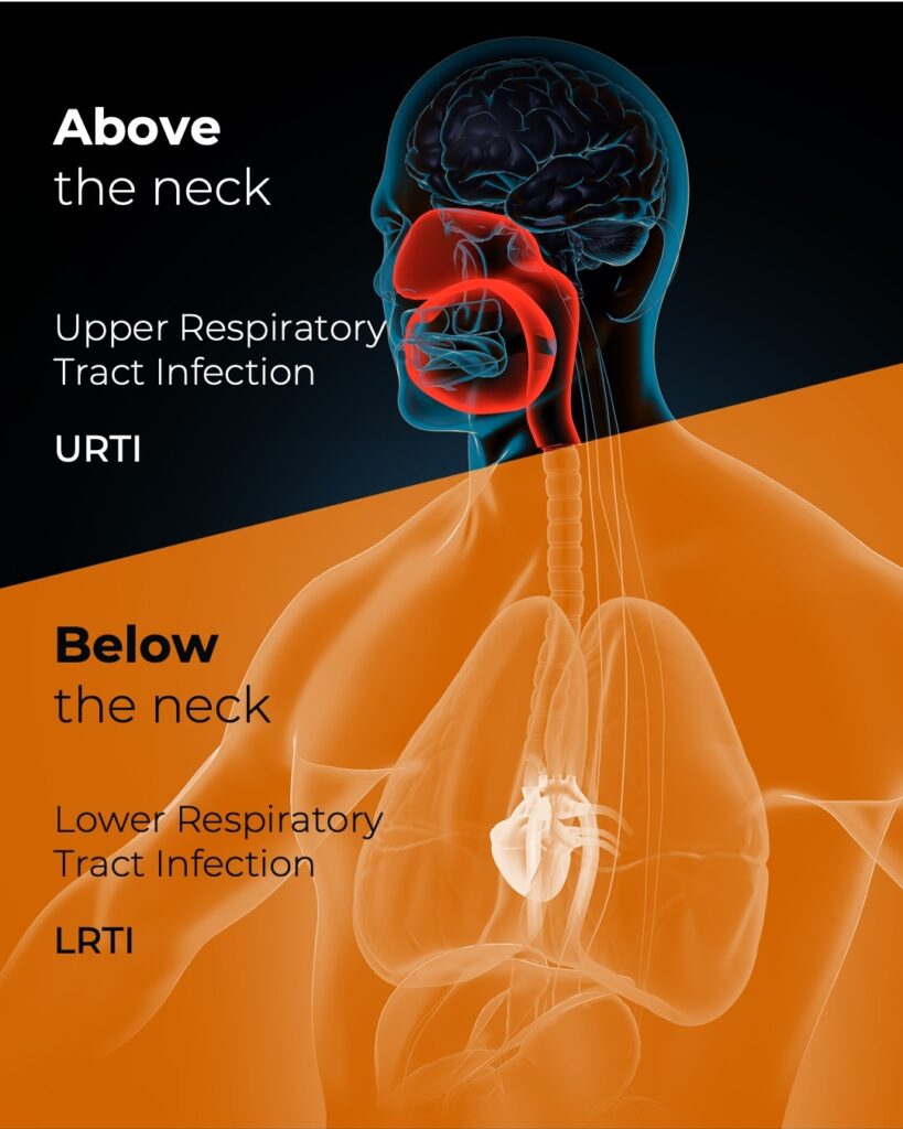 Diagram showing the difference between upper and lower respiratory tract infections to help you decide whether or not your should exercise when you are sick