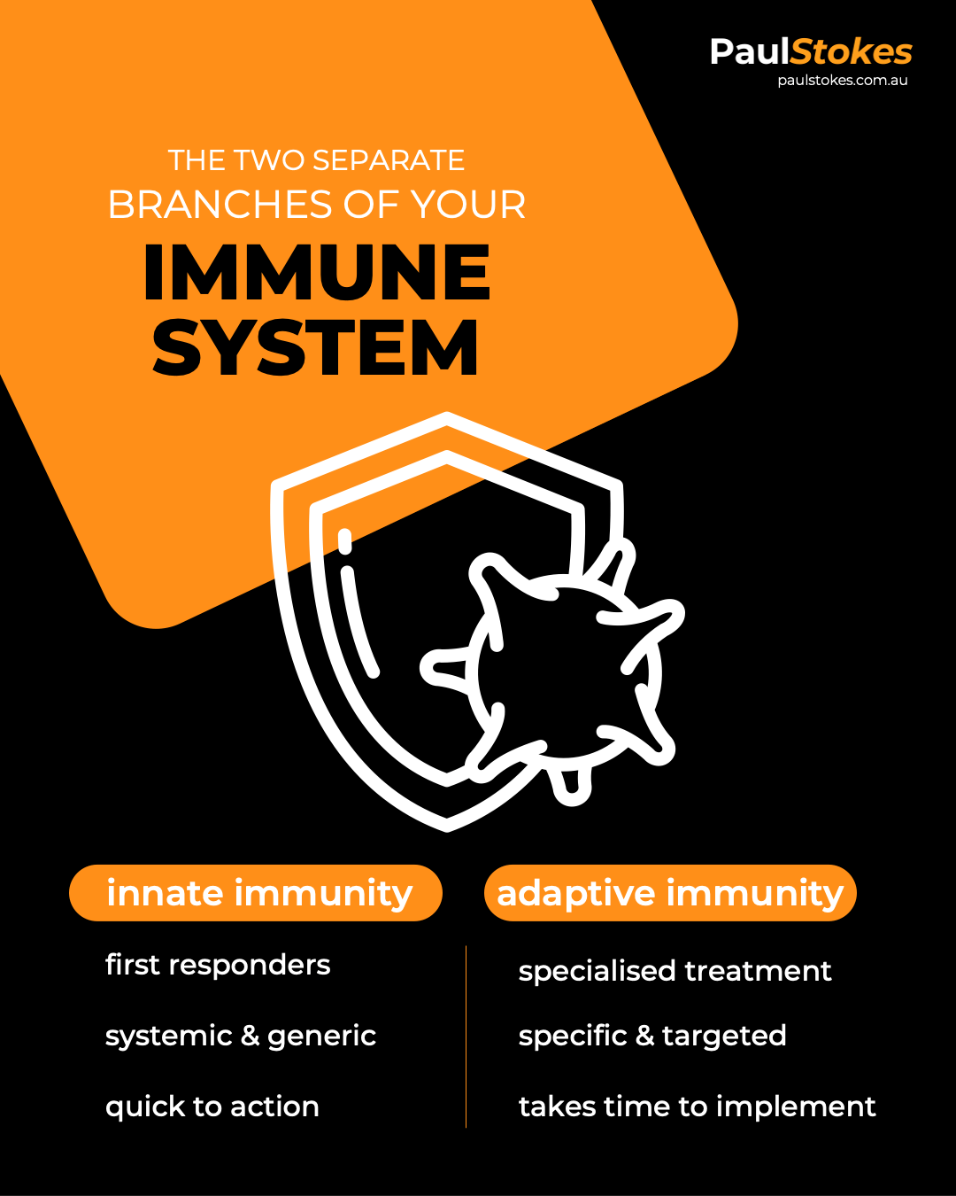 Infographic showing the Innate and Adaptive branches of the immune system