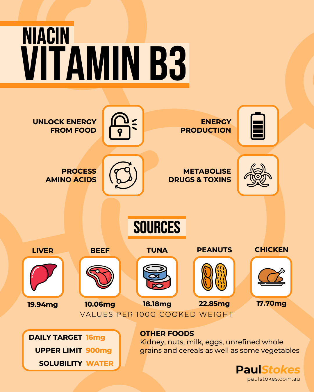 Vitamin B3 Niacin Infographic showing actions, food sources, daily requirements and solubility