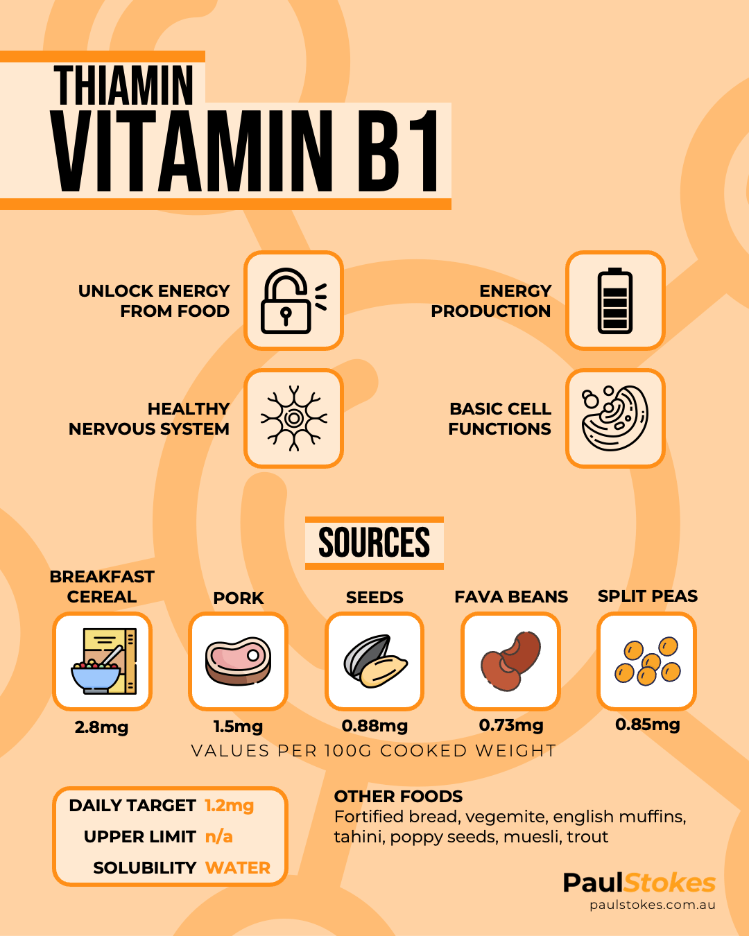 Vitamin B1 Thiamin Infographic showing actions, food sources, daily requirements and solubility